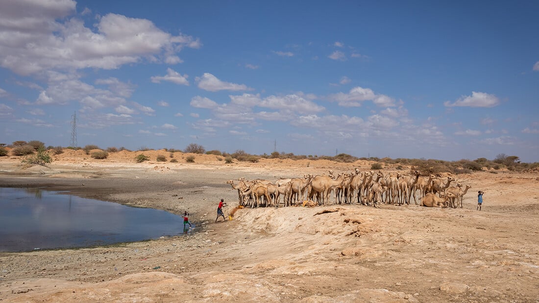 Punto d'acqua in Etiopia.