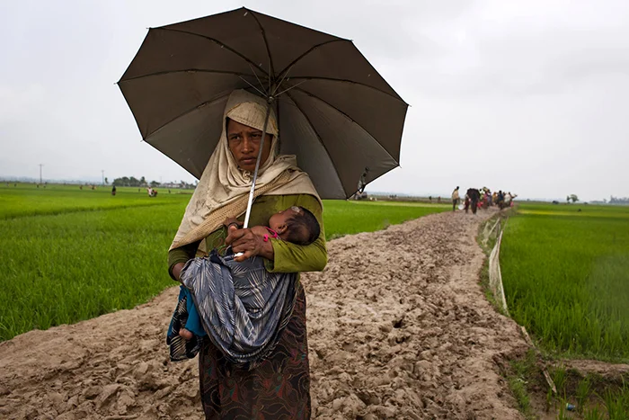 Rohingya 2017