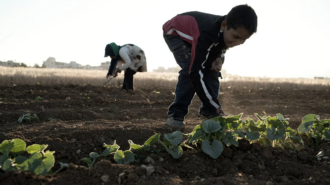 © UNICEF/UN043229/Romenzi